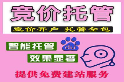 百度竞价价格解析，成功案例分享